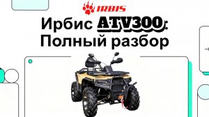 Ирбис ATV300: обзор в виде инфографики - включай звук!