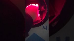 сдаю бутылки № 4 часть 1