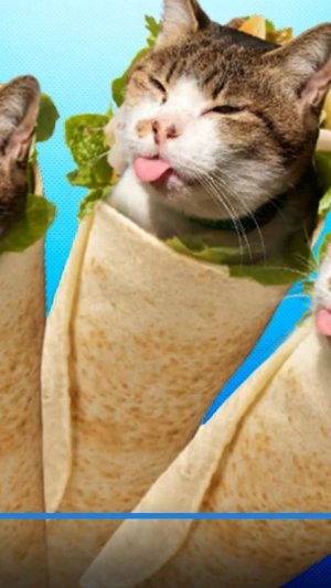 а кто он скажите пж