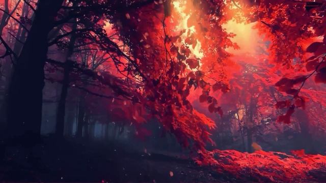 Чужая орбита