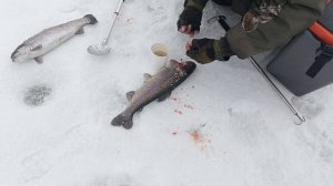 VID_20260306_154554_820