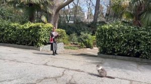 Трейлер к онлайн-экскурсии по Магарачу