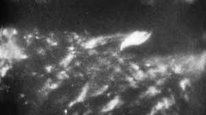 Смесеобразование и сгорание в цилиндре двигателя, 1982