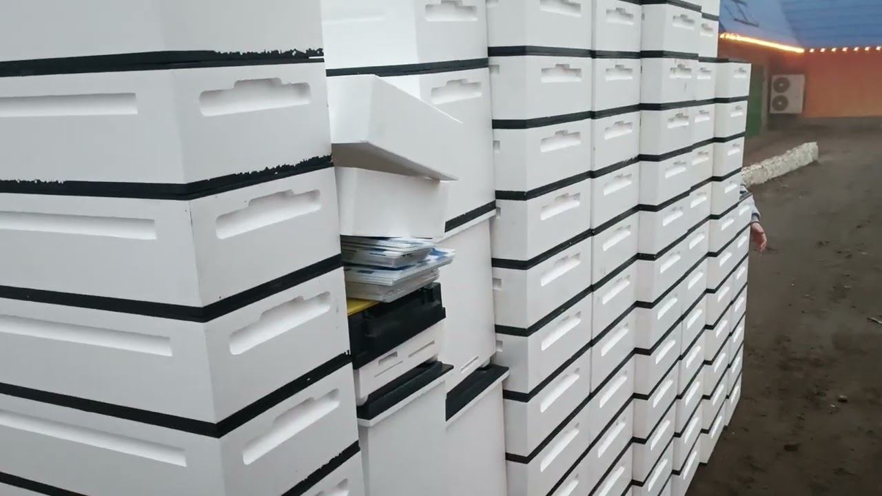 Пеноулик завершающий заказ 2025