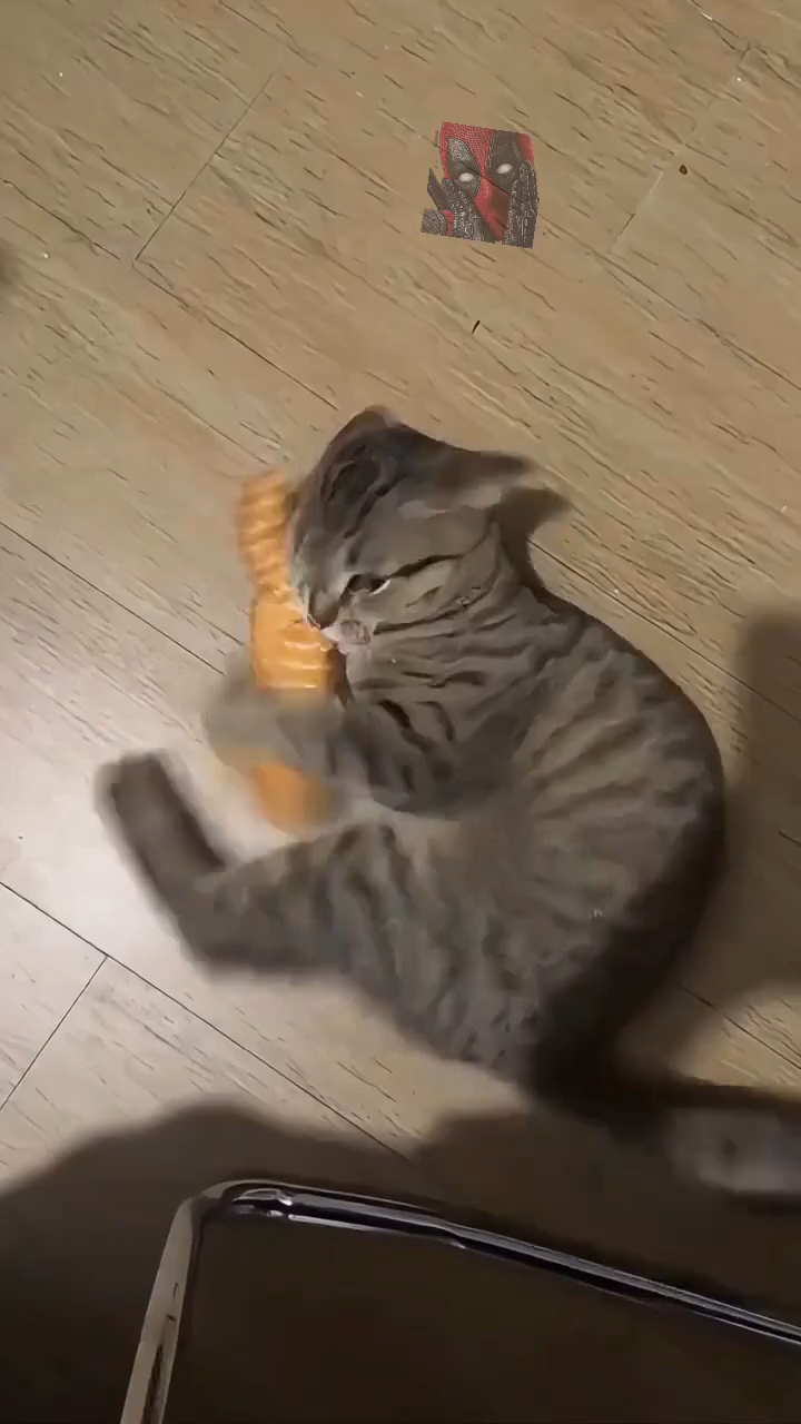 Пушистый АнтиДепреССант 🤣🫶🙀