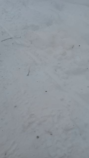 вот видосик из жизни