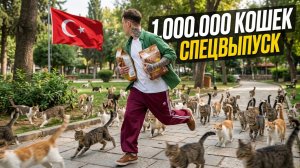 СОТНИ КОШЕК БЕГУТ ЗА МНОЙ 😱| Турция, Анталия