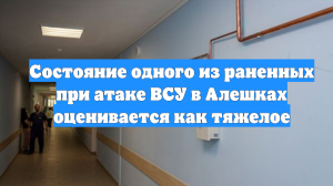 Состояние одного из раненных при атаке ВСУ в Алешках оценивается как тяжелое