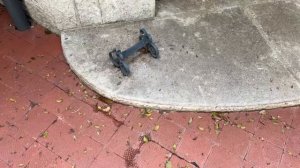 Трейлер к онлайн-экскурсии по имению «Харакс»