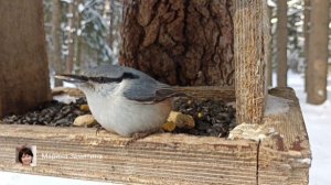 Экотерапия 73 серия.