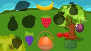 Видео для детей учим фрукты 🍉