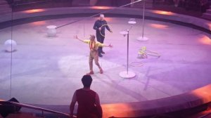 Ивановский цирк 6