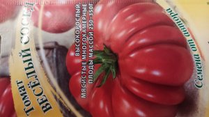 Томат ВЕСЁЛЫЙ СОСЕД высокорослый томат для теплиц мясистые плоды 250-300 гр.