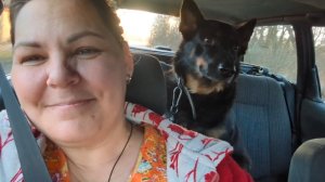 Жизнь в деревне.Получила семена.Обзор.Работаю в теплице.