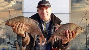 Лещ куршского залива с Орланом белохвостом