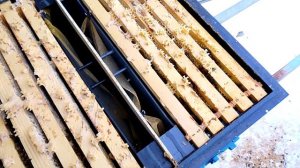 Зимовка двух семей в одном улье.