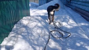 Кузя. Март 2026года(1)