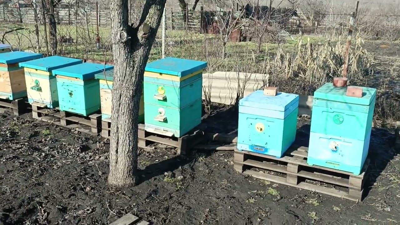 Что потерял. Облёт в последний день зимы 2026.