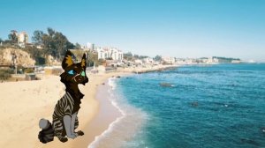 Что мне сделать на 20 пдп?(Все в видео или опис.)