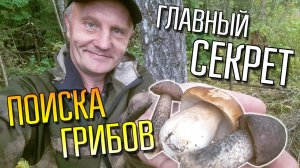 АЛЕКСАНДР ХАБАРКИН  ☾☼ Главный секрет сбора грибов 2026!