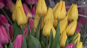 Незнание закона не освобождает от ответственности