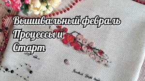 Вышивальный февраль. Процессы / Старт и Покупки