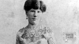 "Мафиози" в юбках. Человек и закон. Фрагмент выпуска от 06.03.2026