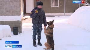 Лучшая собака России служит в Кургане