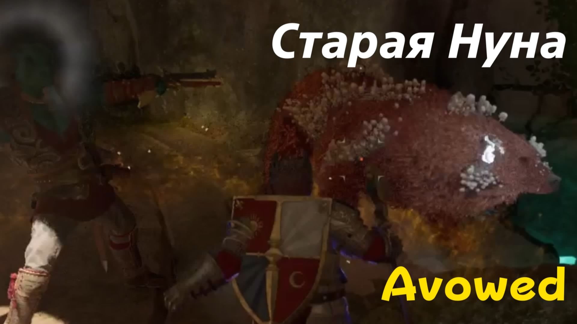 Avowed - босс Старая Нуна (PS5 Pro)