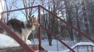 2024 Лета. 7.03 2площадка