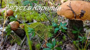 В августе в Карелии. Отпуск часть 2.