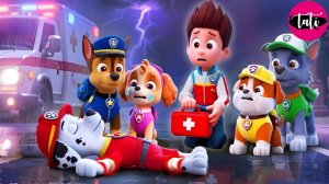 Щенячий патруль и Маршалл. Залипательное видео. Мультфильм для детей и малышей. Анимация 338