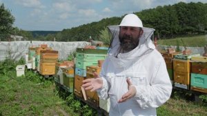 Круговорот_Фильм о пчеловодстве_ТРЕЙЛЕР