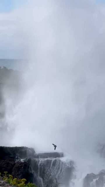 Океан делает меня совсем маленьким.