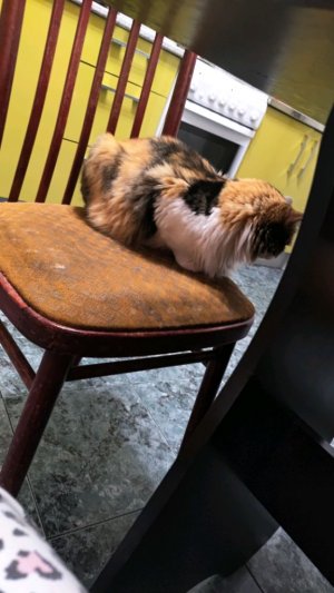 делаем уборачку