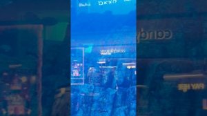 Дубай Молл аквариум.