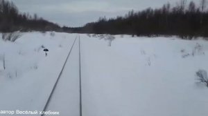 Телефон. (автор Весёлый хлебник)