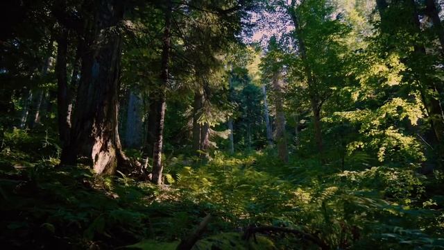 ...5 мгновений, которые делают утро особенным