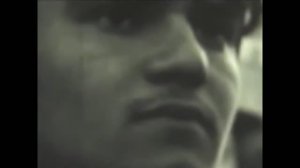 1984. Вечно молодые.