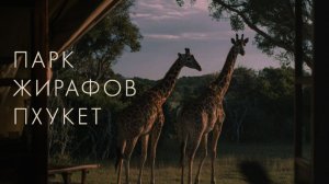 Жираф Парк Пхукет