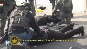 telegram-cloud-document-2-5285058236704137040