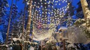 Лесной каток