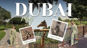 DUBAI VLOG | Сафари парк | гайд по метро Дубая | Музей будущего | обзор Day to Day и Carrefour |
