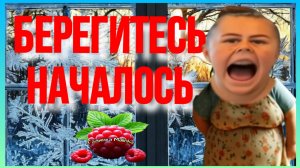 Сельчанка в Америке _Берегитесь, Началось _Обзор _Selchanka v Amerike _Big Big Family _Жизнь в США