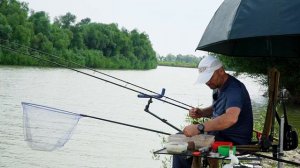 More šarančića i poneka deverika EP255 20082024