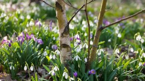 Мне нравятся люди...