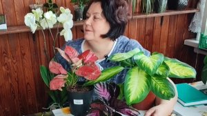 Опять я их купила. Что скажет муж? Расхламление после зимы.