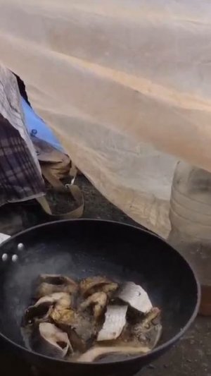АЛЕУТСКАЯ КУХНЯ В ЭКСТРЕМАЛЬНЫХ УСЛОВИЯХ/БЕЗДОМНЫЙ СОЧИ #бомжи #бездомные #сочи #катясочи #алеуты