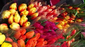 Программа "Главные новости" на 8 канале от 06.03.2026 Часть 2