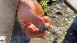 Десятки объектов - одна команда! ⚒️💎